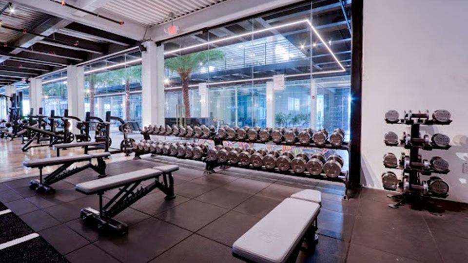 Fat Loss Meal Plan Basics in Miami: What You Should Actually Be Eating